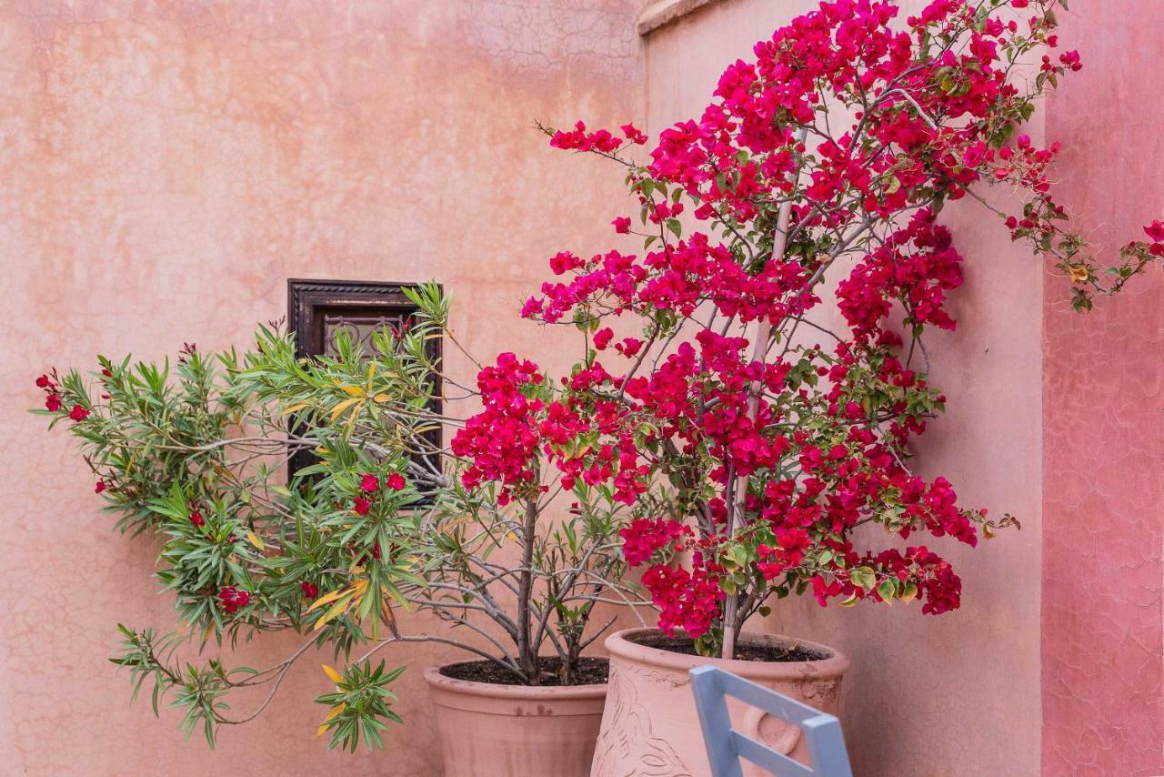 Riad Sassa Finda Marrakesh Buitenkant foto